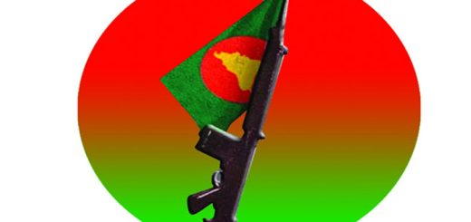 বিজয়ের পদাবলি