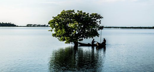 আমি হলাম ভাটির ছেলে