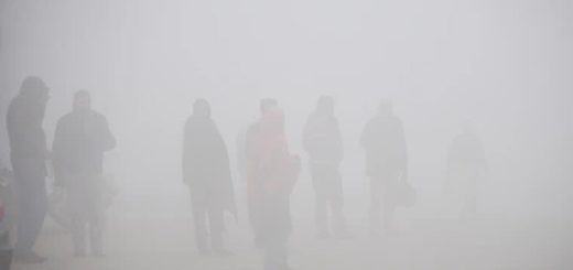 তাদের কথা