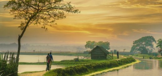 প্রিয় এই দেশ