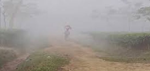 শীতের বুড়ি