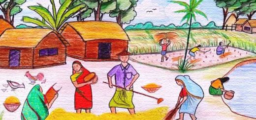 তুলে আলোড়ন!
