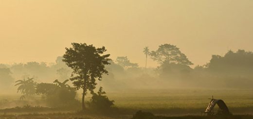 শীতকাল