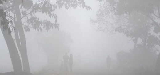 শীত মানে