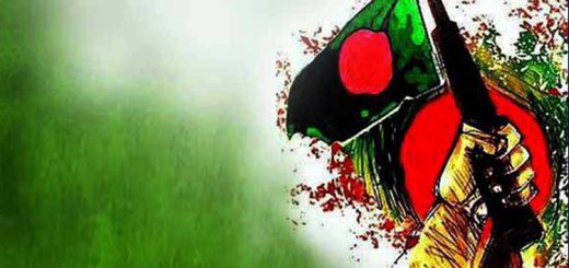 বিজয় আসে