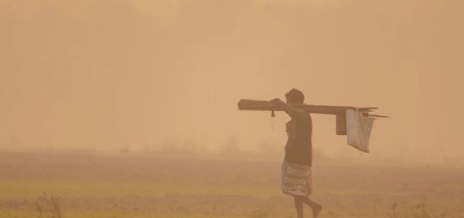 শীত মামা