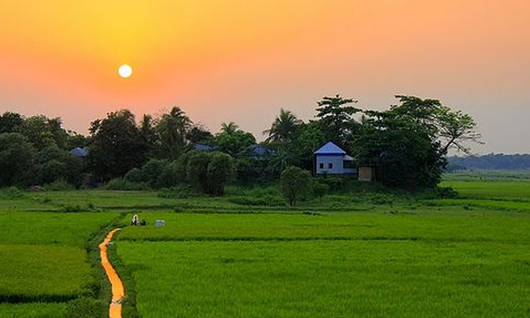 রূপের দেশ