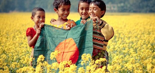 বিজয় মাসের সুখ 