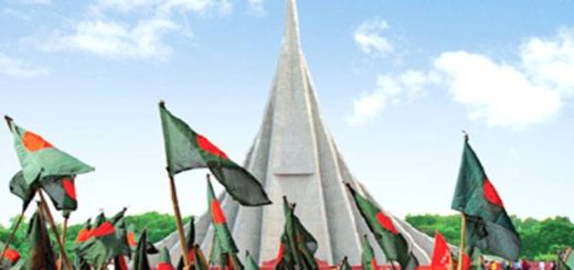 বিজয় এলো