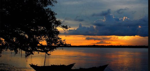 নিকটবর্তী ও পরবর্তী বিষয়ক