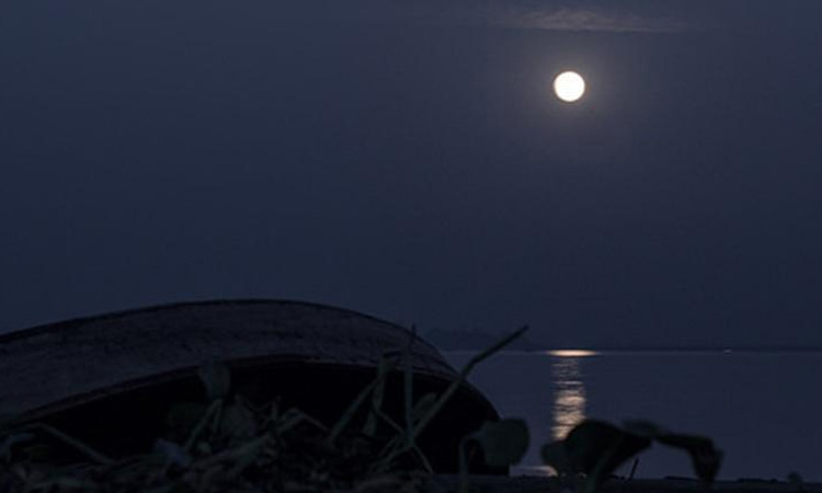 চাঁদনী রাতে