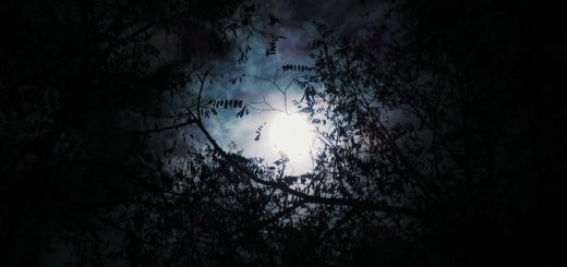 অবগাহন