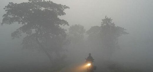 শৈত্য প্রবাহ