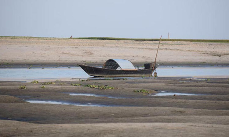 নদীরা মরে গেলে  
