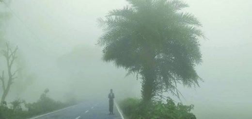 মাঘের শীতে বাঘ কাঁপে 