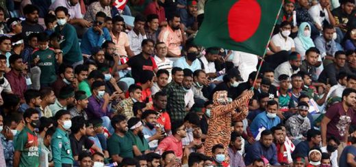 ক্রিকেট বনাম দর্শক