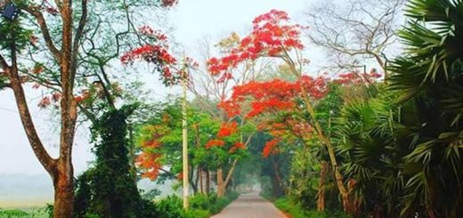 প্রকৃতির রূপ