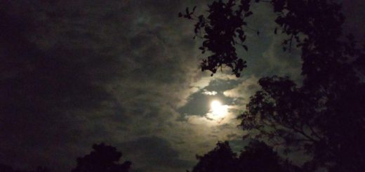 মেঘে ঢাকা নীরব জোছনার জলছাপ 