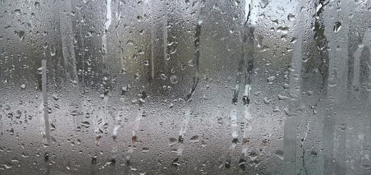অশান্ত বিলাপ