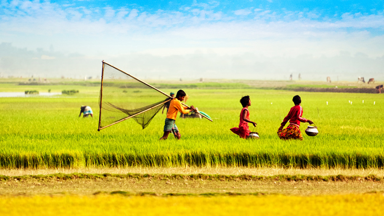 বাংলার গান