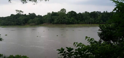 ভরা তটিনী
