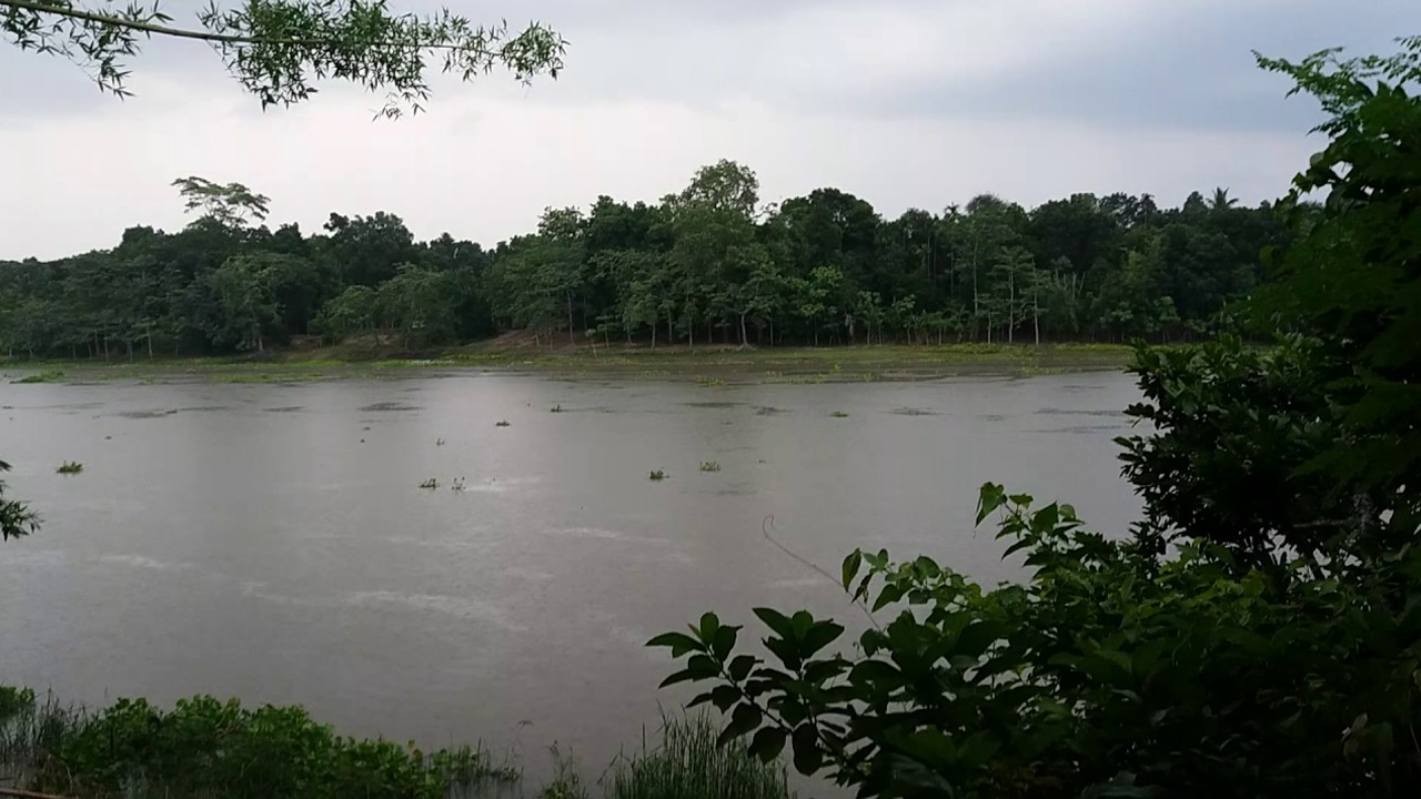 ভরা তটিনী