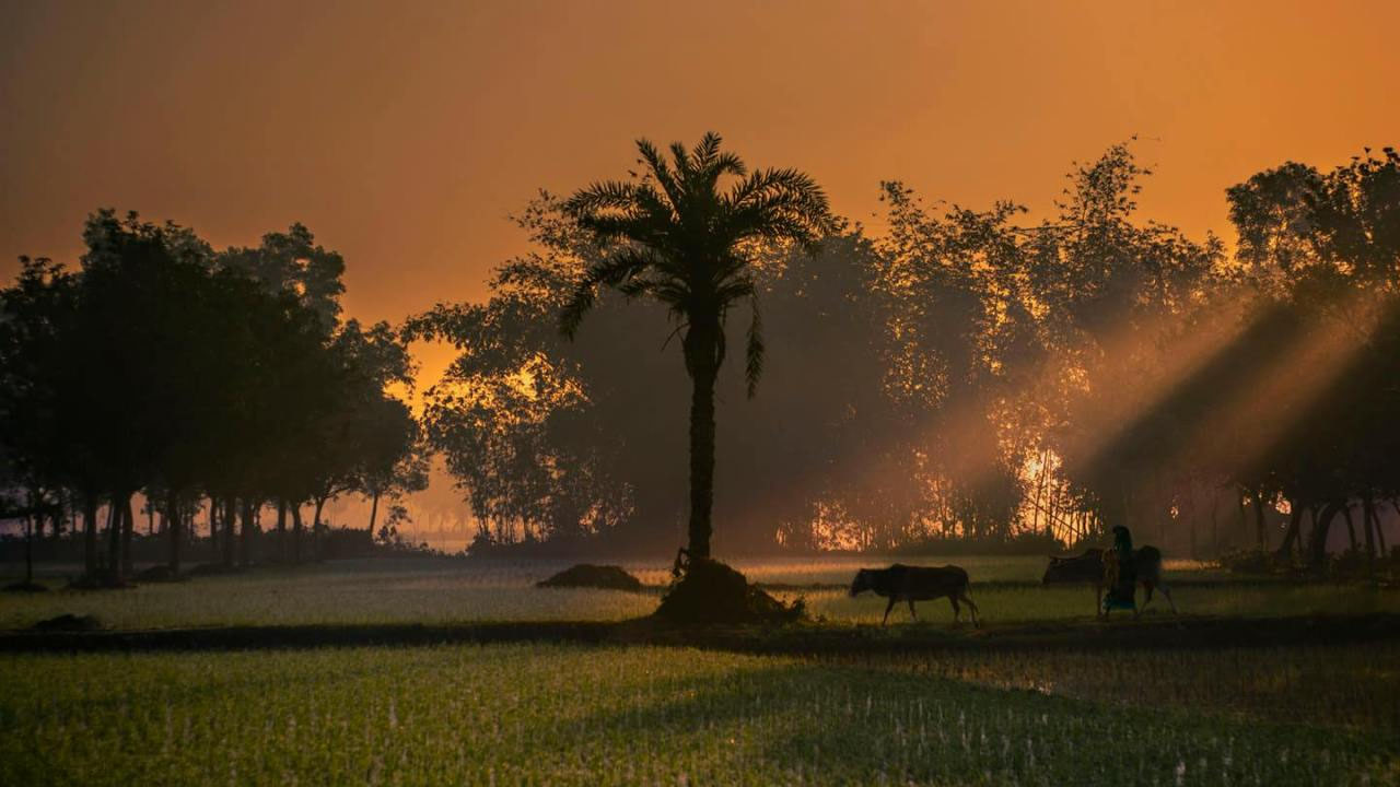 জন্মেছি এই দেশে