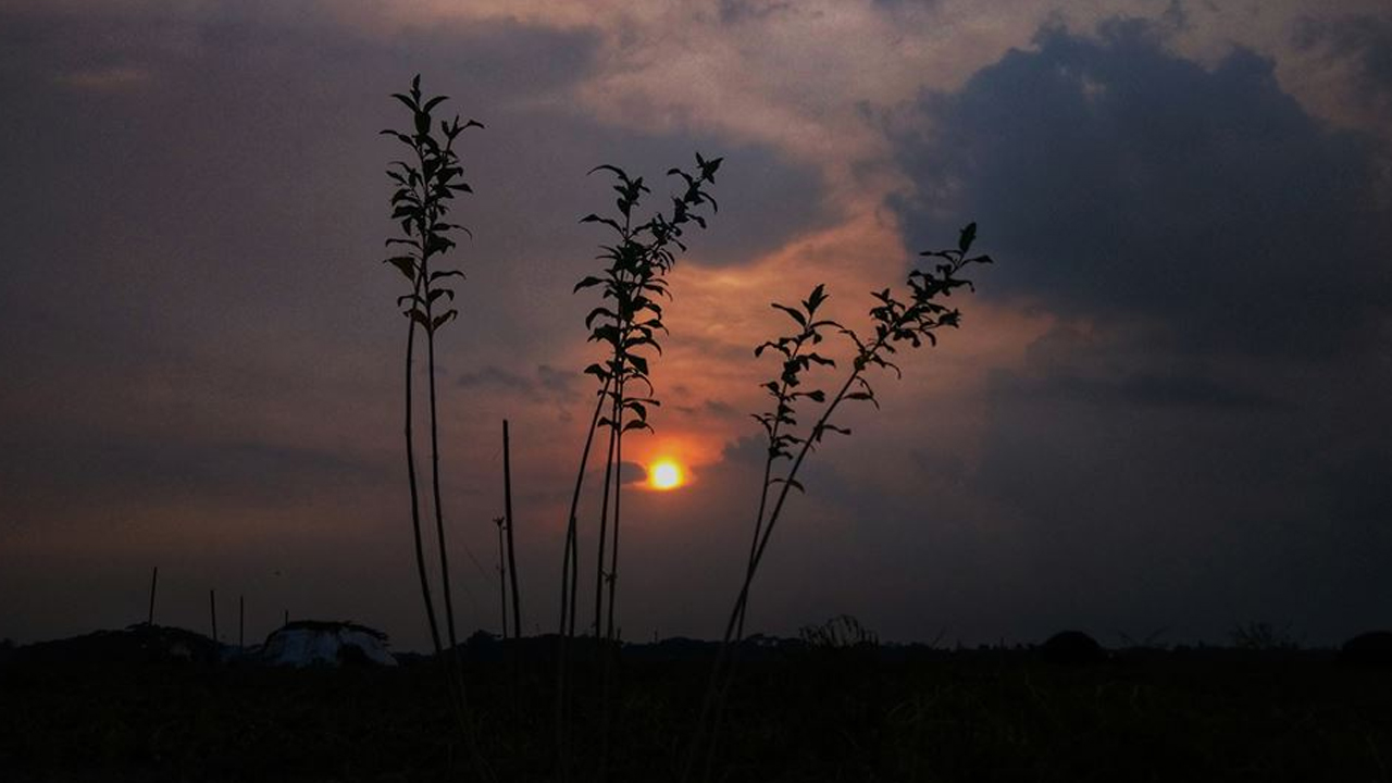 বিকেলের ক্লান্ত সময়ে