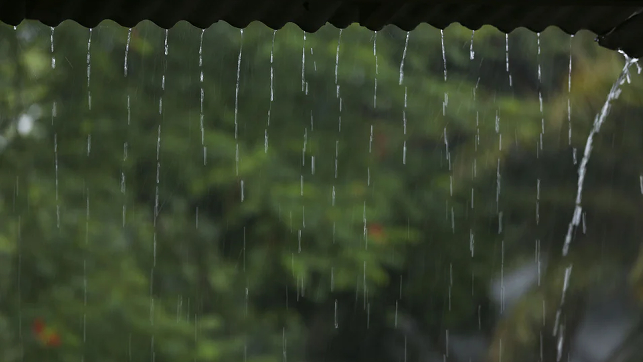 বর্ষার জ্বালা