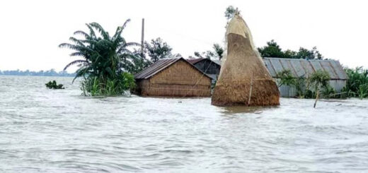 সর্বনাশা বন্যা