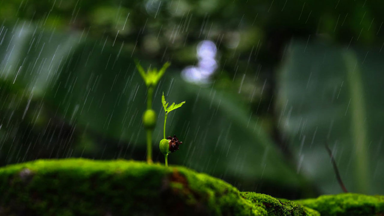 বর্ষা এলো