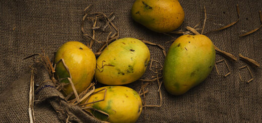 রাসায়নিকমুক্ত আম চেনার সহজ উপায়