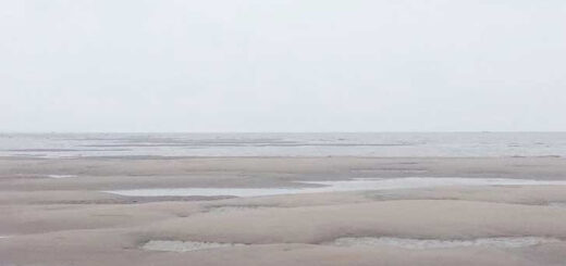 চর