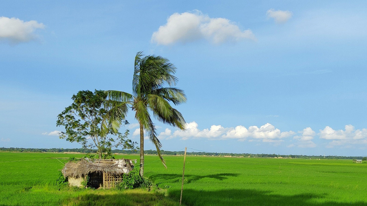 ভালোবাসি
