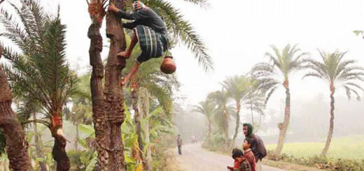 মিজান গাছি ও অপূর্ণ জীবন বৃত্ত