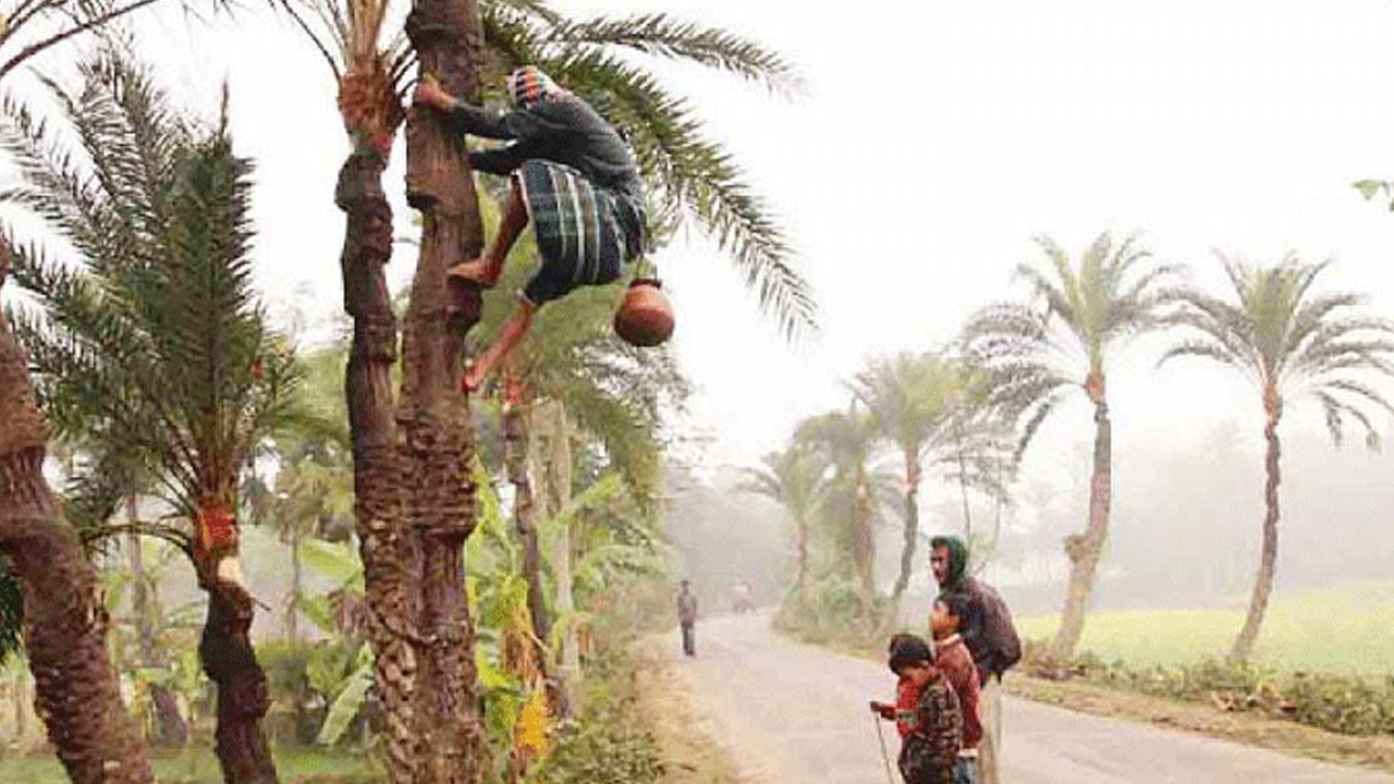 মিজান গাছি ও অপূর্ণ জীবন বৃত্ত