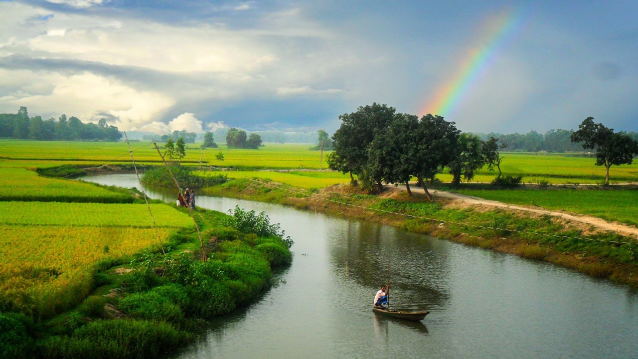 উপলব্ধি