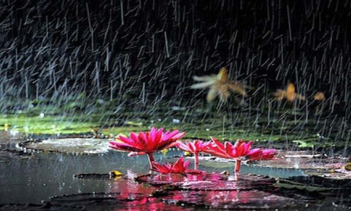 বর্ষা সুন্দরী