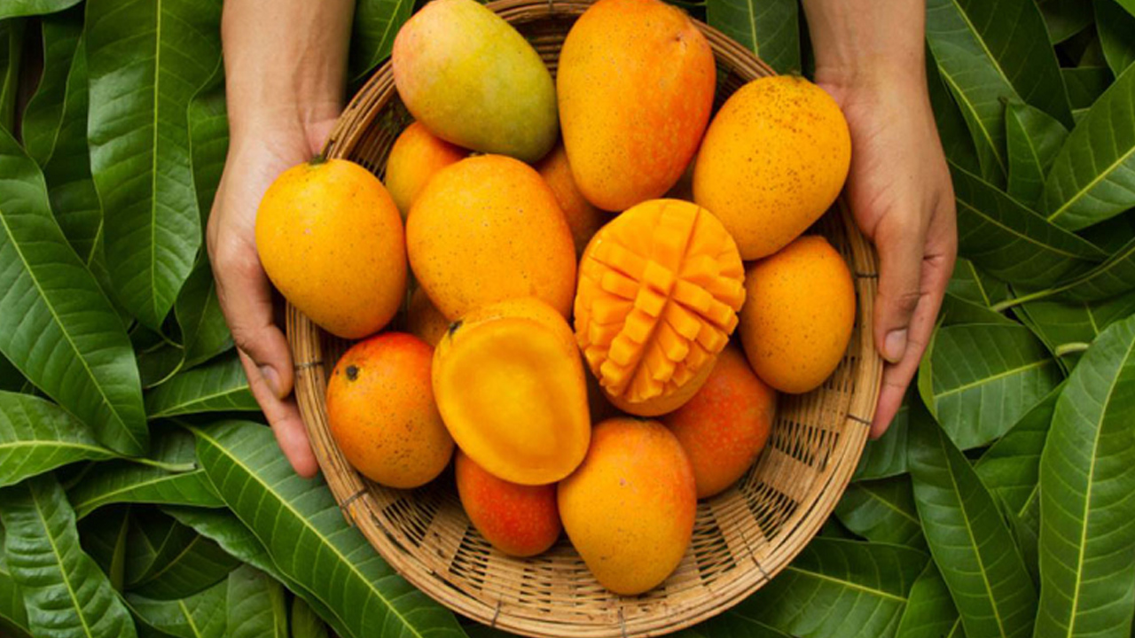 ভালো আম চিনবেন কিভাবে