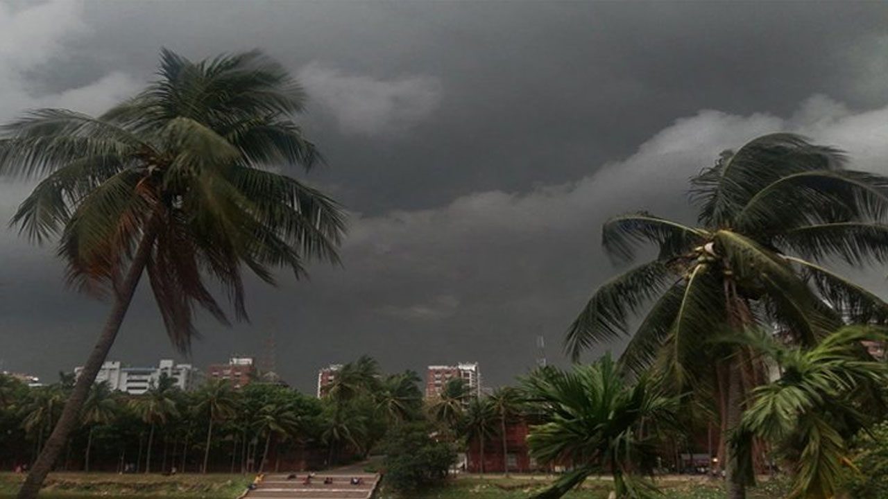 হাওয়ার শাড়ি