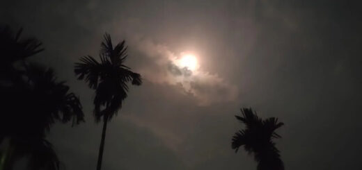 এভাবেই দিন-রাত্রি