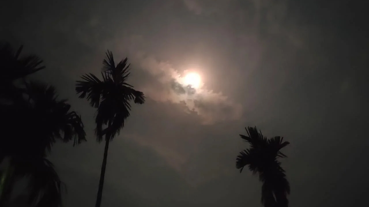 এভাবেই দিন-রাত্রি