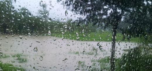 তোমার শহরে বৃষ্টি নামুক