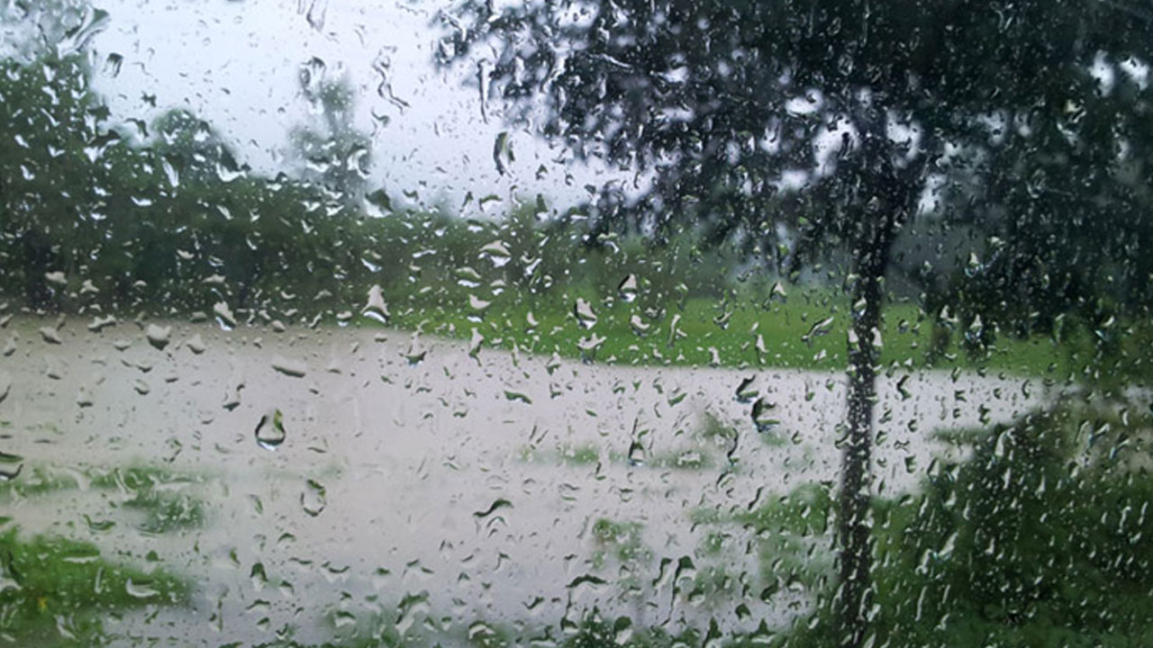 তোমার শহরে বৃষ্টি নামুক