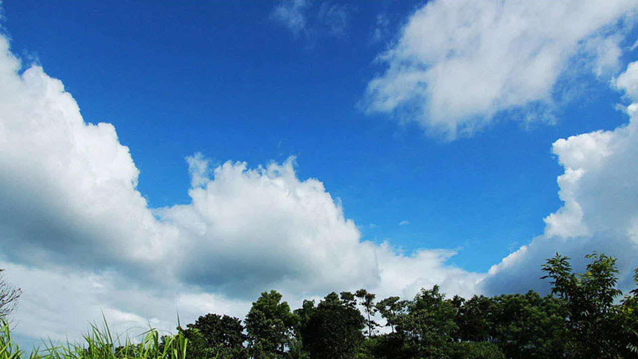 শরৎ এসেছে ফিরে