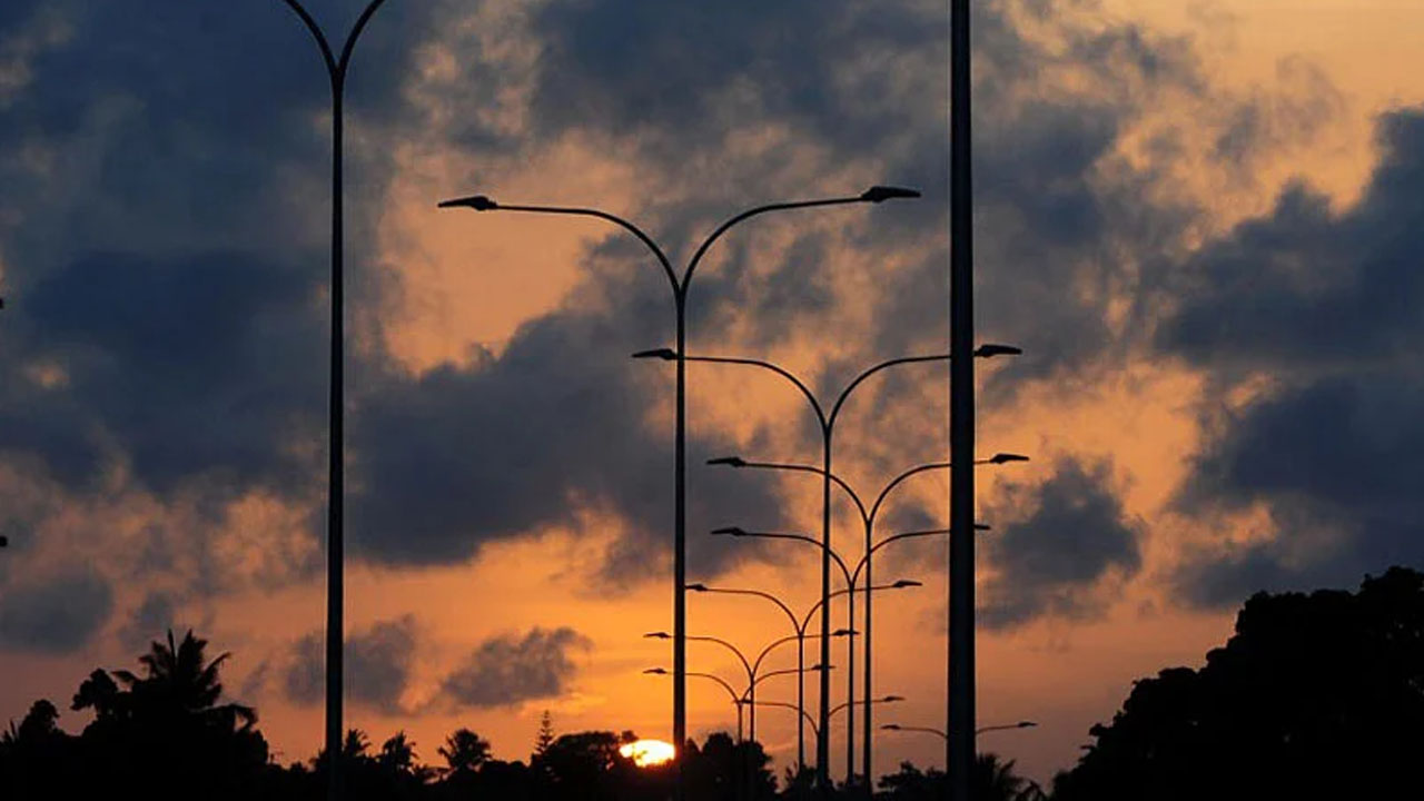 পাখির মতো মন