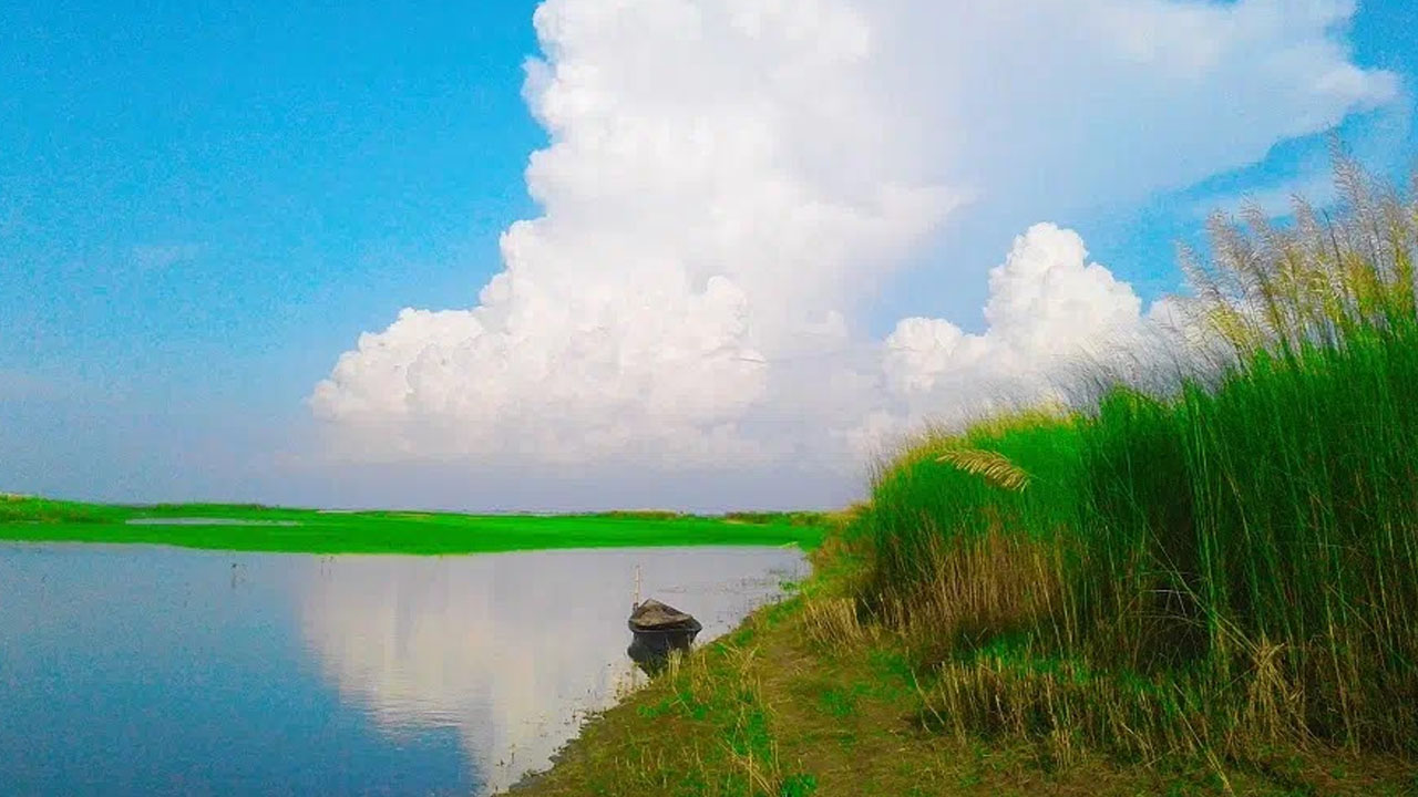 শরতের শুভ্রতা