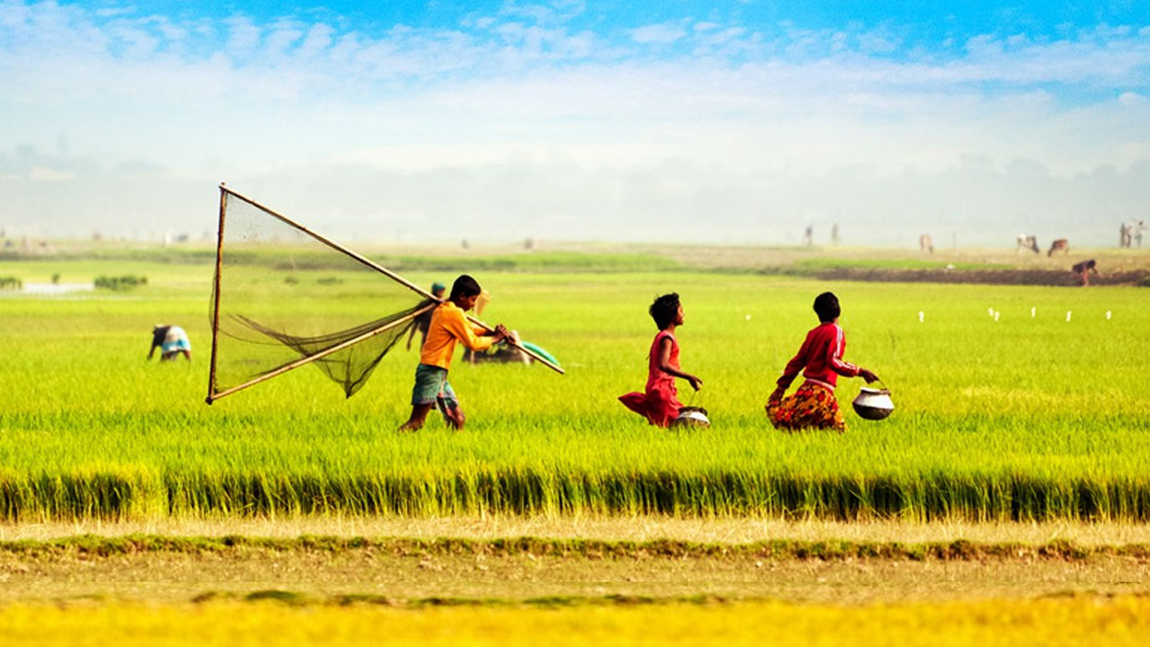 আমার দেশ