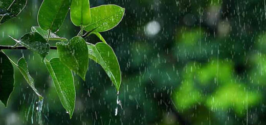 বৃষ্টি