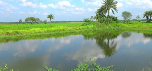 শরৎ